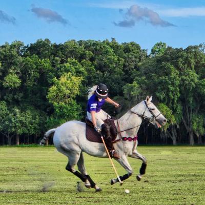 Polo Match Treeline Debbie Wylie