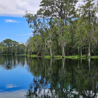 Reflection Kathy Simens
